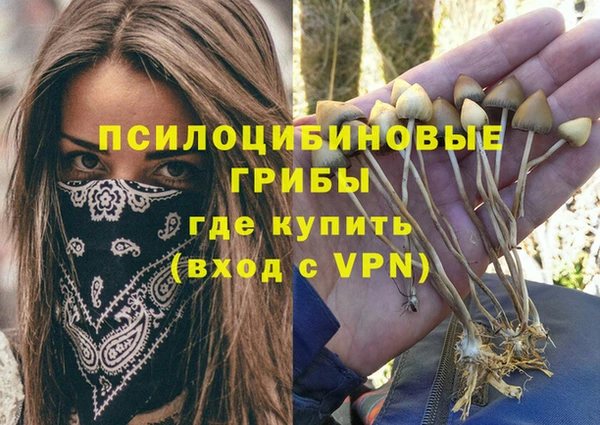 МДПВ Алексеевка