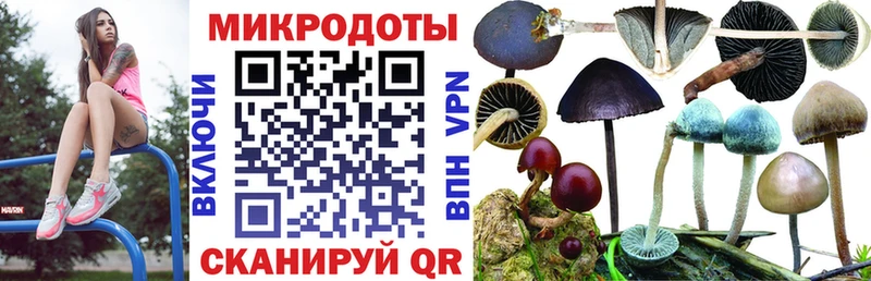 Галлюциногенные грибы мухоморы  Лысково 